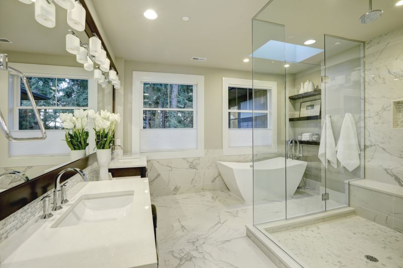 Master Bathroom Remodeling